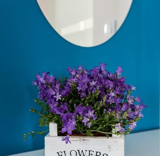 Galla Gasthuis Split